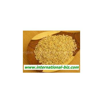 Plant protein meal replacement powder