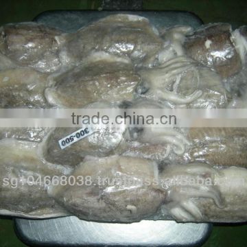 Frozen Cuttlefish Whole Round from Indonesia