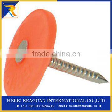 Best selling 2"-6" hot-dipped galvanized ,bright smooth plastic strip nail