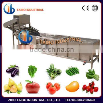 Factory Price: Professional industrial air bubble apple washing equippment