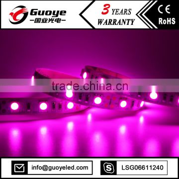 Shenzhen Manufacturer Pink 5050 led strip with 60leds/m Pink strips