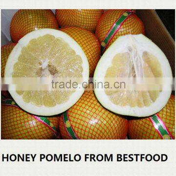 New crop fresh pomelo names all fruits