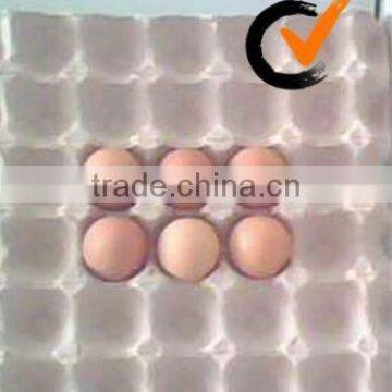 paper pulp egg tray with low price