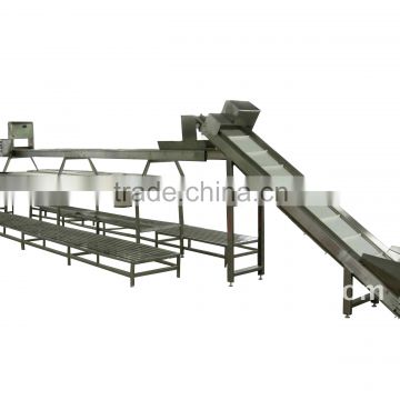 Lettuce Conveyor Machine/Fruit Belt Conveyor