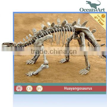 Sale high quality fiberglass dinosaur skull