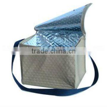 cooler non woven bags (2W-2090)