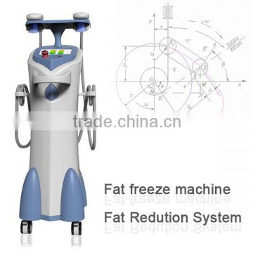 cool lipolysis fat loss machine cryo wave with the best sales in CHINA