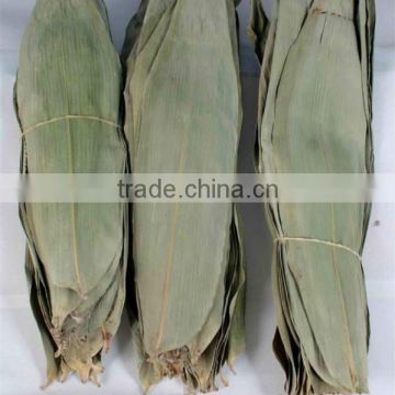 zhu ye dry bamboo leaves bamboo material