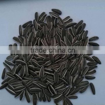 2015 new chinese sunflower seed with low price