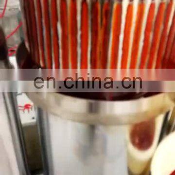 2019 New Vertical Hydraulic Press Sesame seed oil Camellia oil Press hydraulic coconut oil press machine