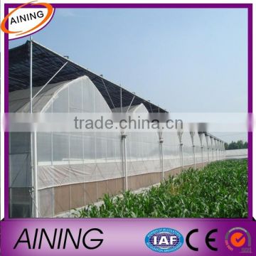 Anti-uv 200 micron greenhouse film for planting fruits and vegetables                        
                                                Quality Choice