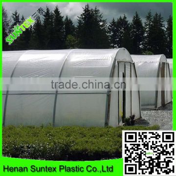 Best selling single span blow molding type transparent greenhouse film with cheap price