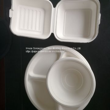 Sugarcane wheat straw pulp molding machine for disposable tableware lunch box plate food bowl cup