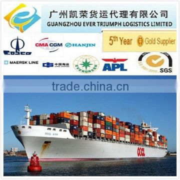 Intermodal Container Shipping From China to Dubai