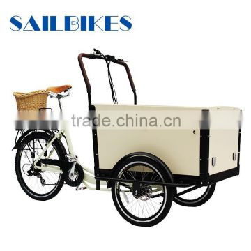 cargo 3 wheel motorized bike for kids