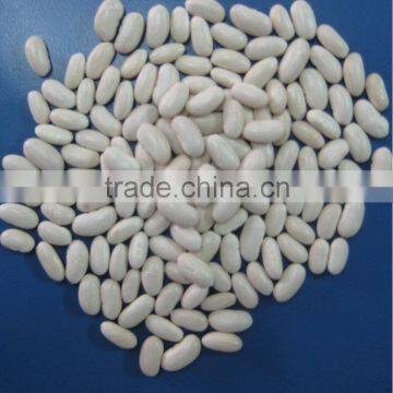 China white bean baishake type