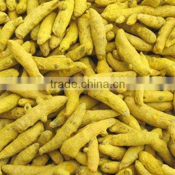 Dried Turmeric Exporters/Turmeric Curcumin