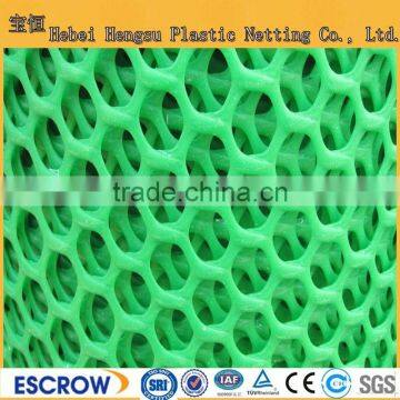 HDPE plastic Flat Mesh