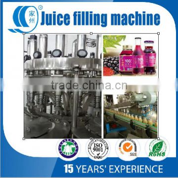 Hot Juice Drink Filling Machine/Machinery