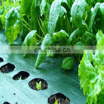 black plastic ground cover vegetables root protect garden mat anti weed mat