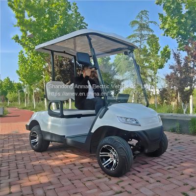 Single row 2-seater electric golf cart