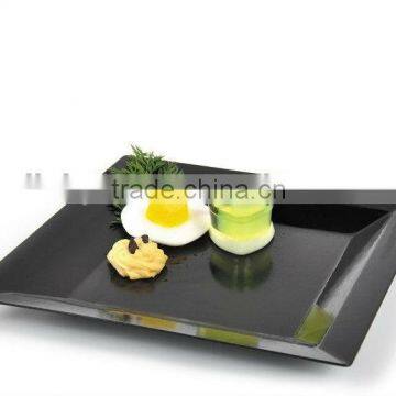 big size Rectangular plate/ dish/dishes on sale