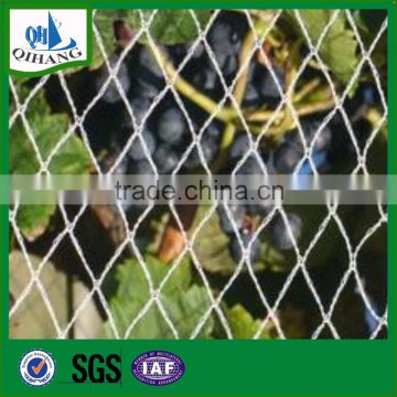 HDPE anti-bird netting pe net