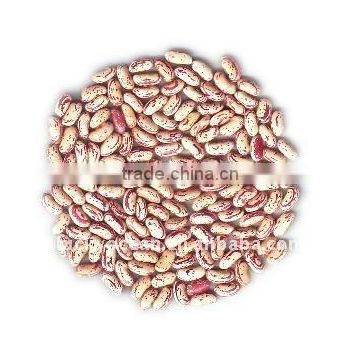 Crop 2015 Red Kidney beans