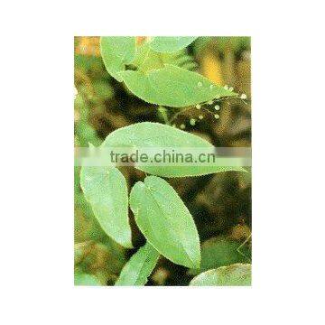 Shorthorned Epimedium Extract Powder 20% Icariins.