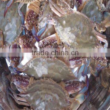 frozen crab with lower prices