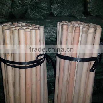 Hot selling eucalyptus wooden mop stick with low price