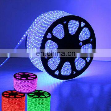 China 60 LEDs per Meter 5050 RGB Waterproof LED Strip Light