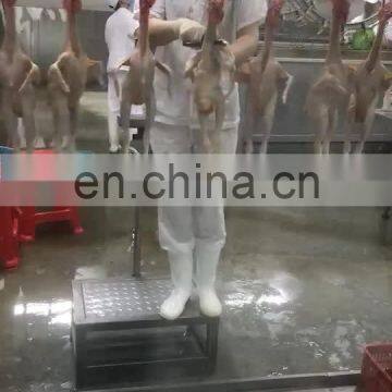 China professional chicken slaughterhouse/duck slaughter house