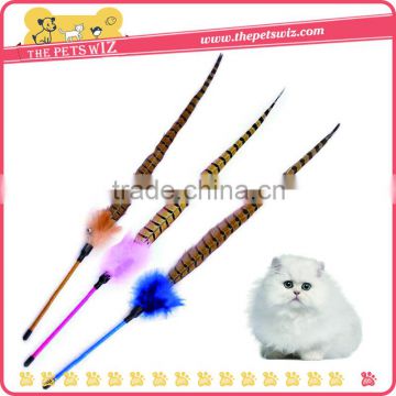 Mountain tail feathers funny cat stick