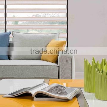 Fashionable Roller blind / day and night blinds / Zebra Blinds