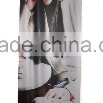 80*200cm Roll up screen exhibition stand
