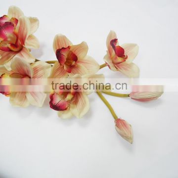 2015 Best sell colorful Cymbidium wholesale manufacturer for home decoration
