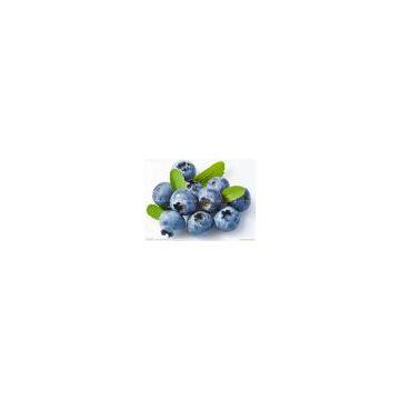 Bilberry extract