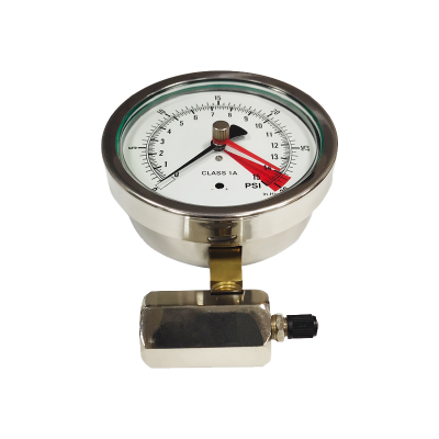 Capsule Pressure Gauge(CPG)-Over-voltage protection type Capsule Pressure Gauge made in China