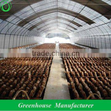 anti-wind tunnel mushroom greenhouse