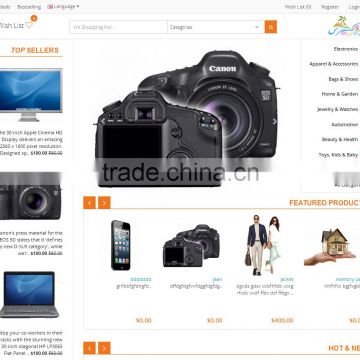 ebay like shopping store website, SEO Friendly Online Shopping website design
