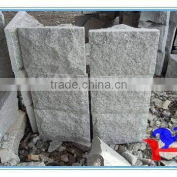 Wall Paver Mushroom surface