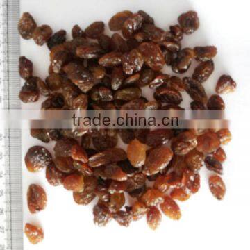 SEEDLESS MALAYAR RAISIN