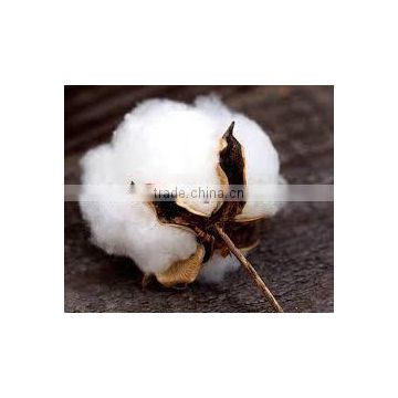 Bulk Raw Cotton