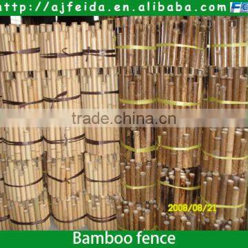 FD - 158171 bamboo fence in the park