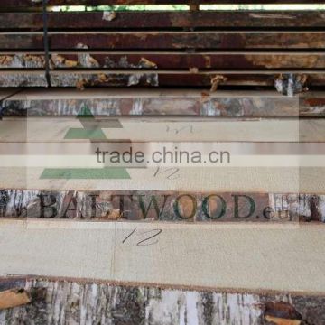 Unedged edged birch timber