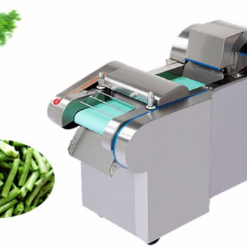 Food Processing Plant 500-800 Kg/h Motor Operated Vegetable Cutting Machine