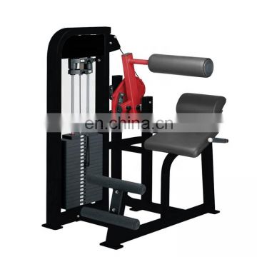 Life fitness design best price with top quality gym equipment Home use bodybuilding weightlifting Back Extension