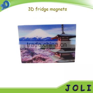 custom pet lenticular 3D fridge magnet