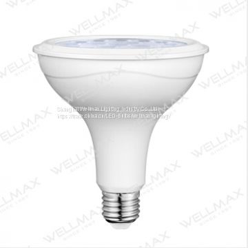 WELLMAX LED Par Lamp - Par30/Par38